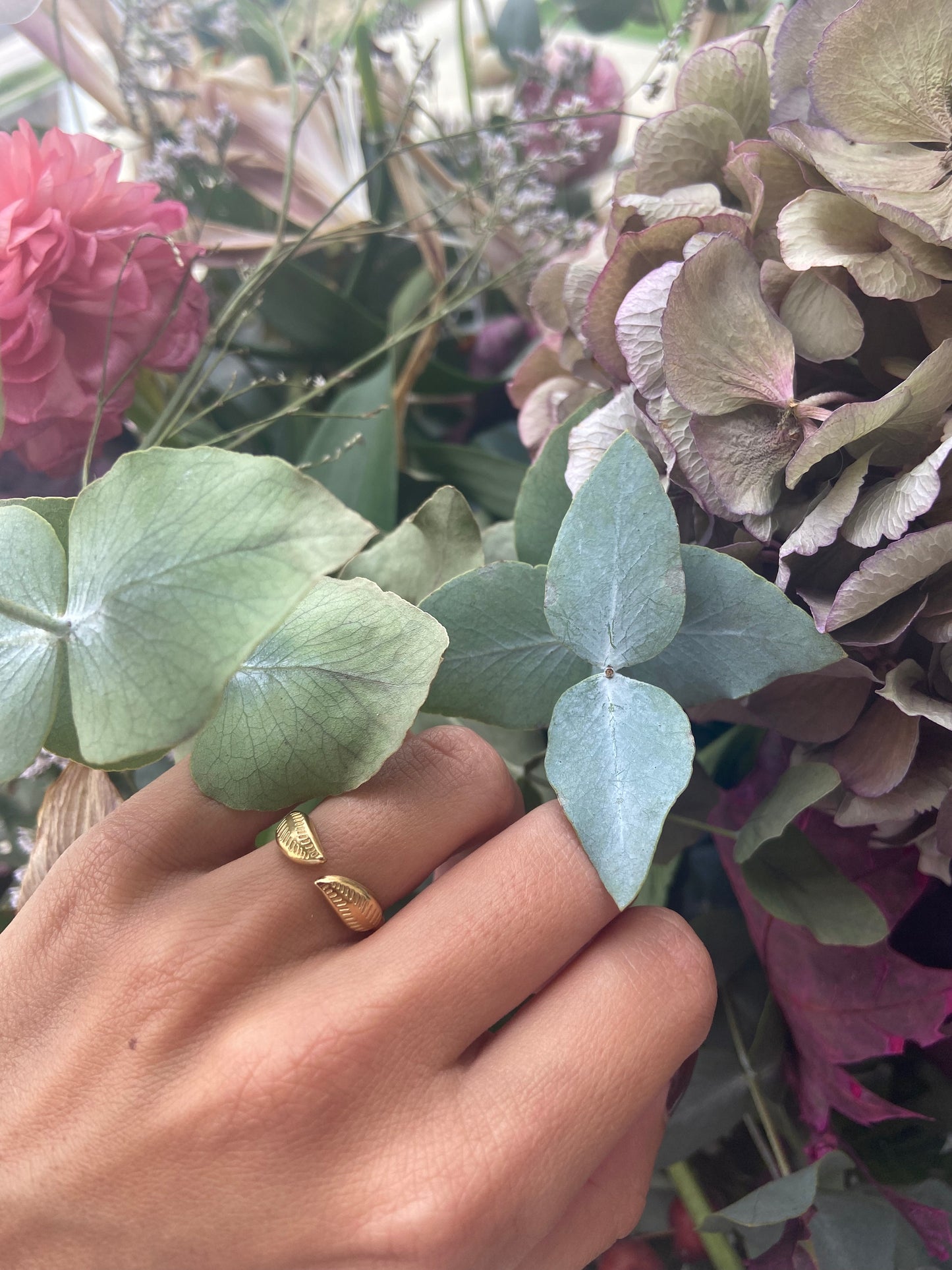 Anillo Alas