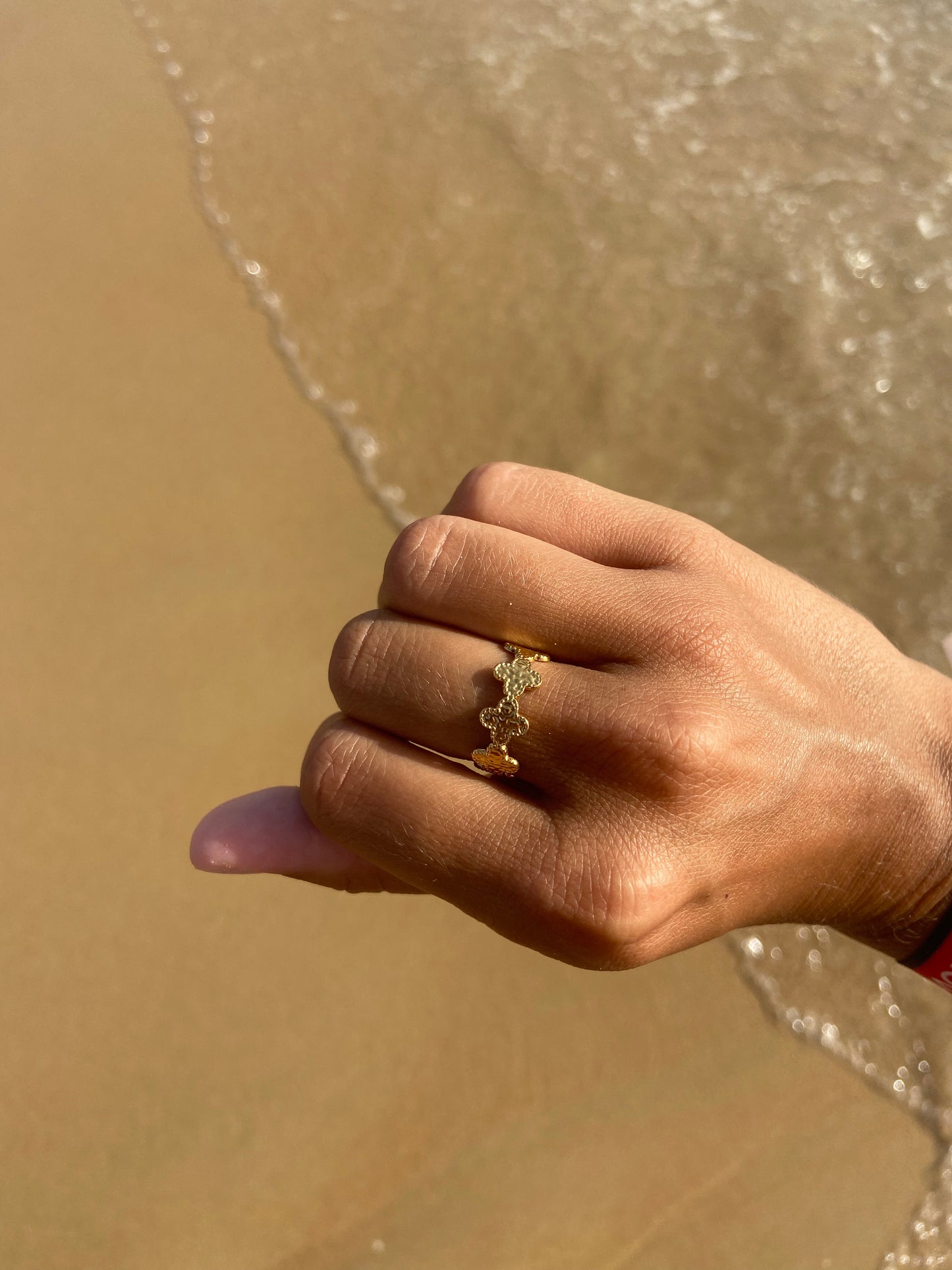 Anillo Cruces