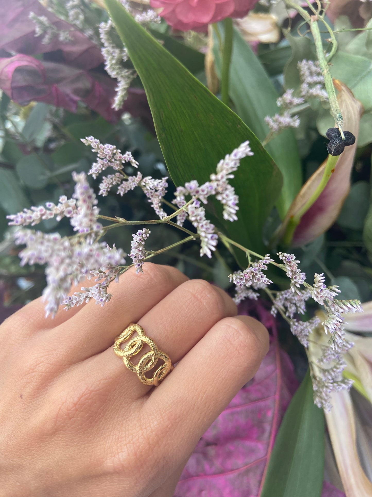 Anillo Encadenado