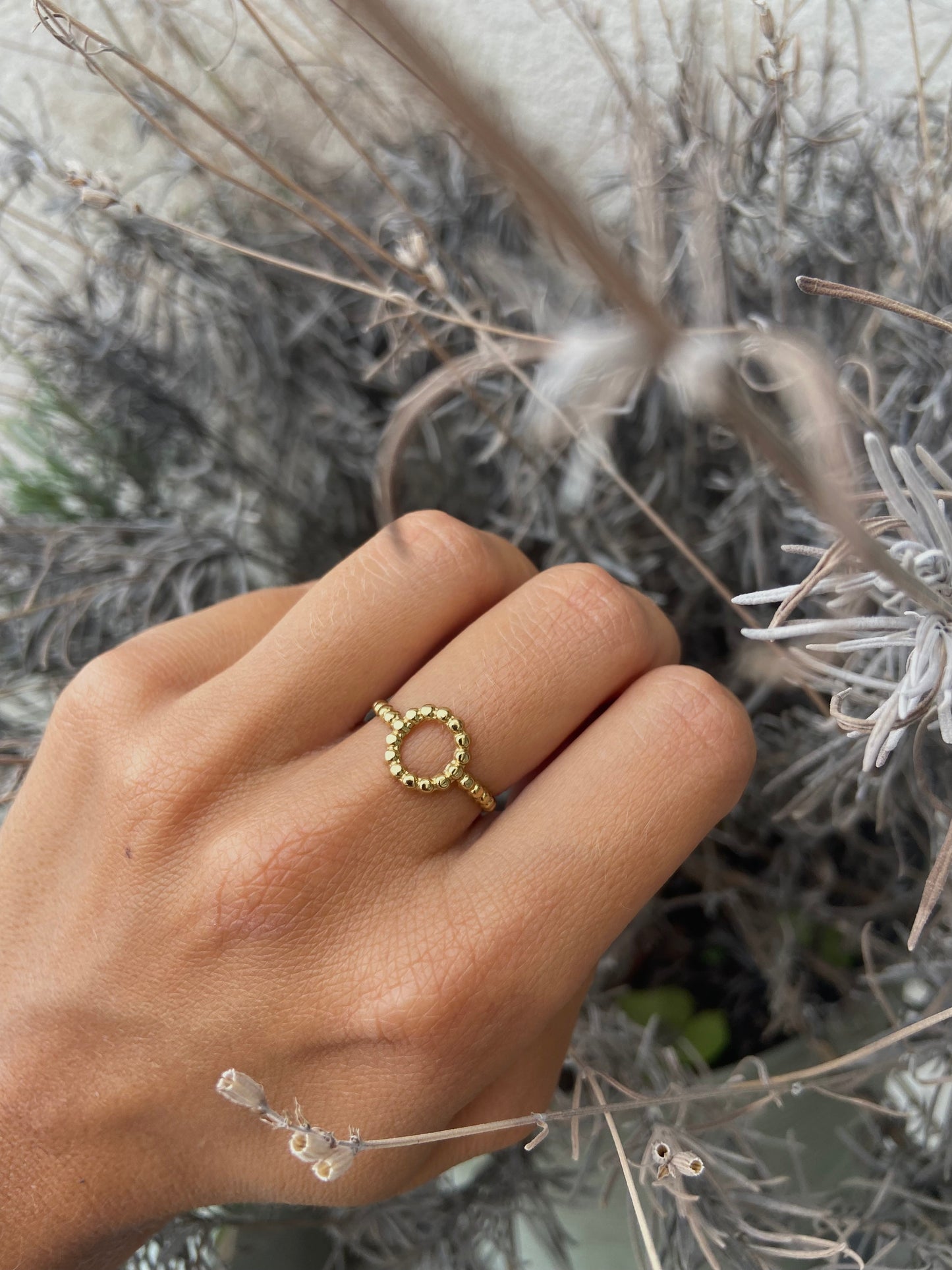 Anillo Luna