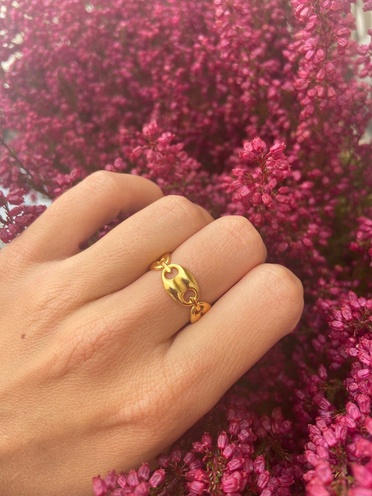 Anillo Eslabones