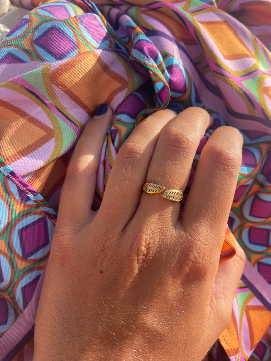 Anillo Alas