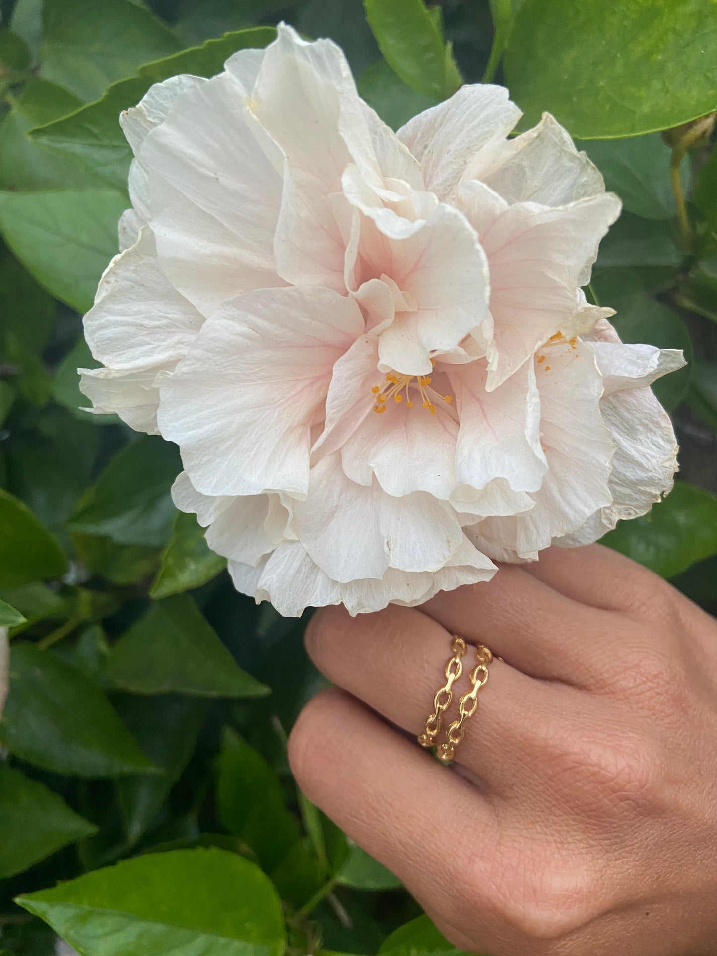 Anillo Eslabones Doble