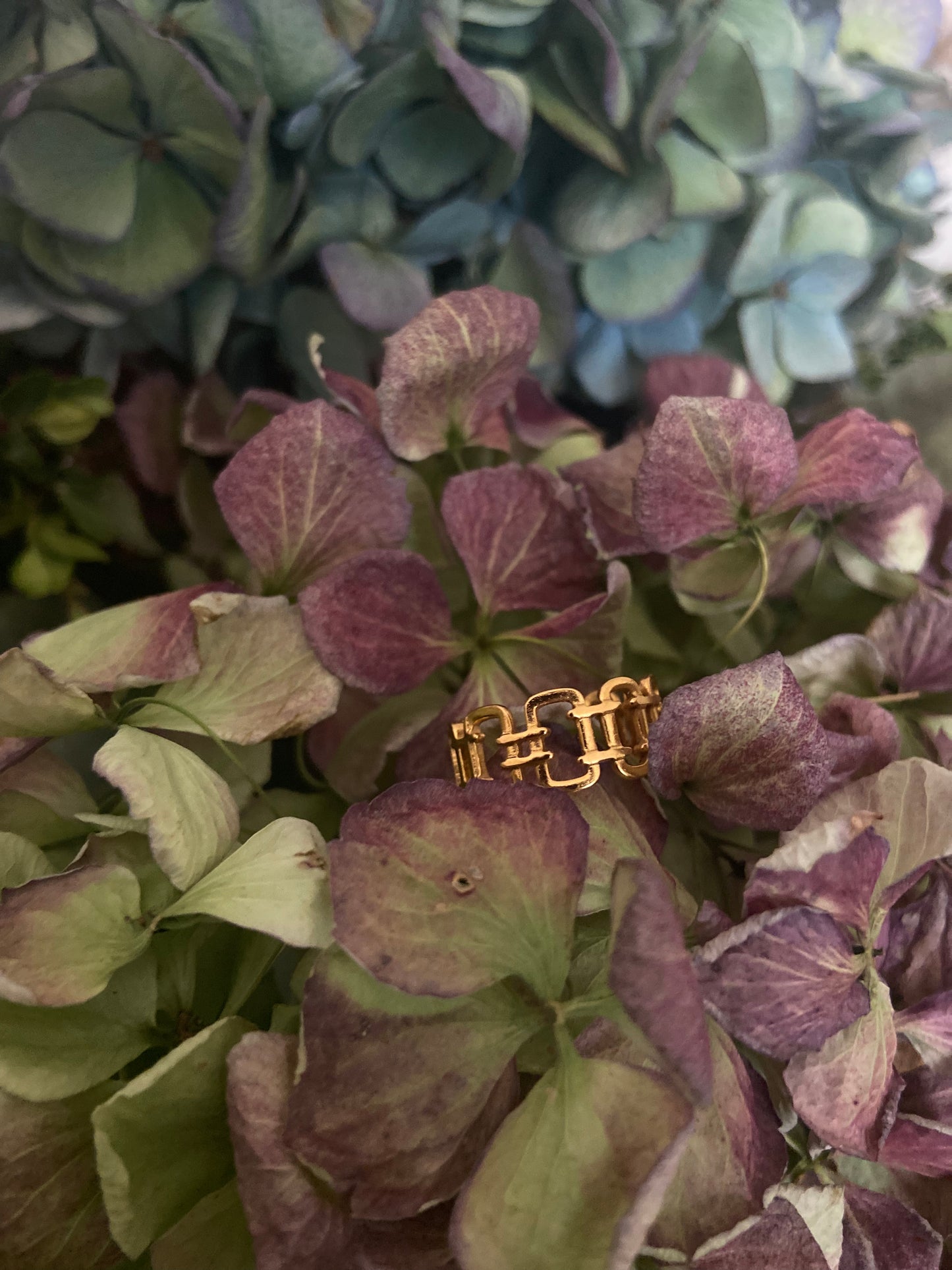 Anillo Rectangular