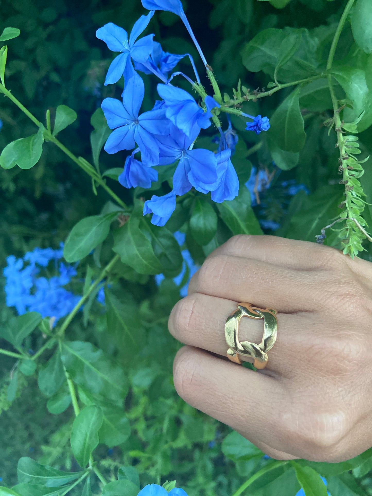 Anillo Big
