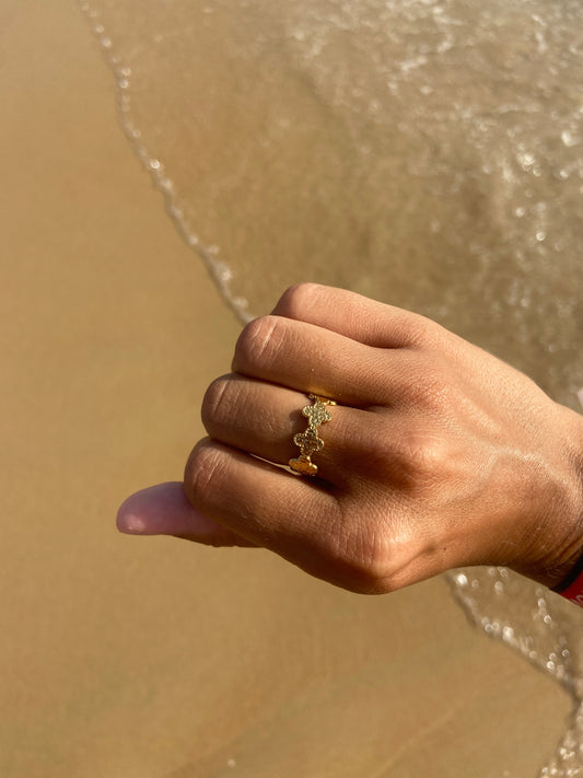 Anillo Cruces