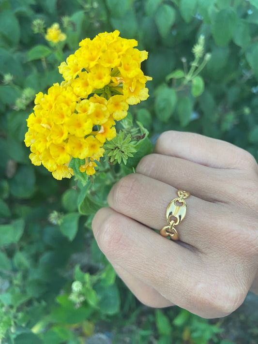 Anillo Eslabones