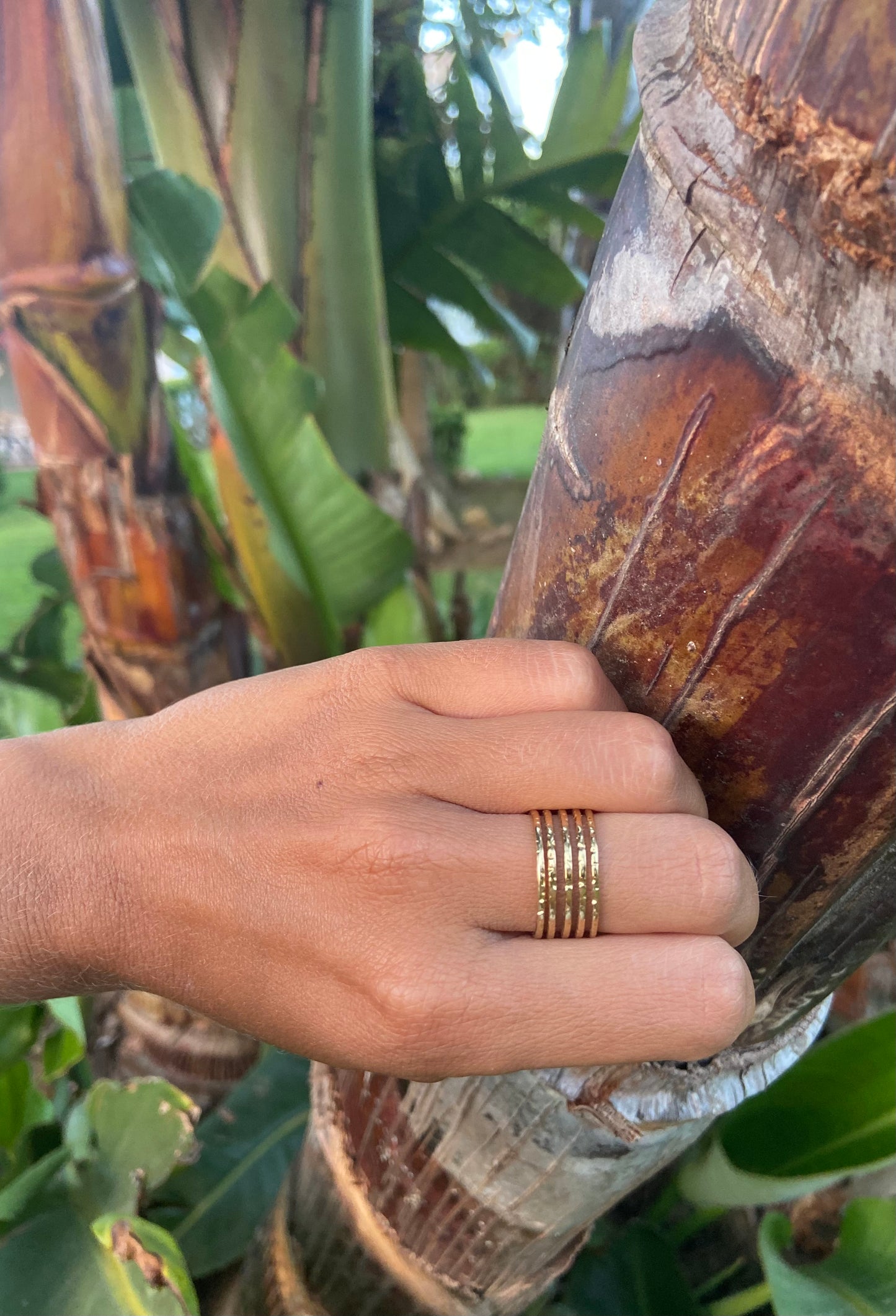 Anillo Paralel
